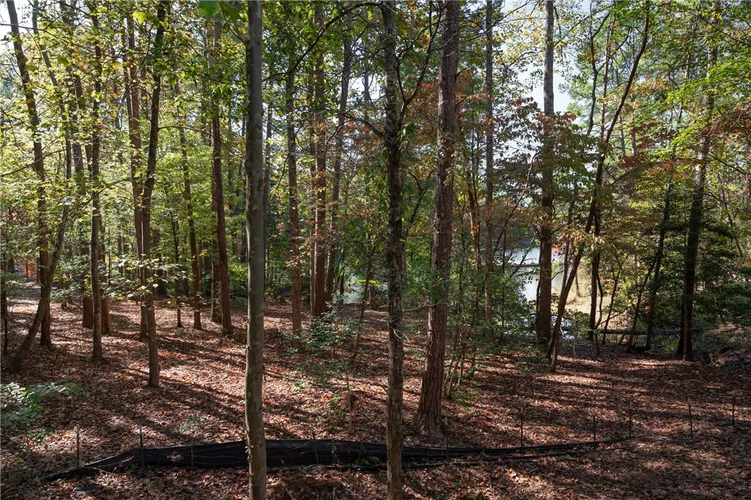 Property image 3 at Lot 13 Village View Drive, Sunset, SC 29685
