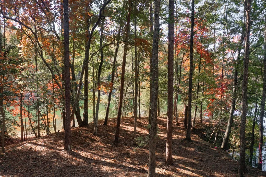 Property image 5 at Lot 13 Village View Drive, Sunset, SC 29685