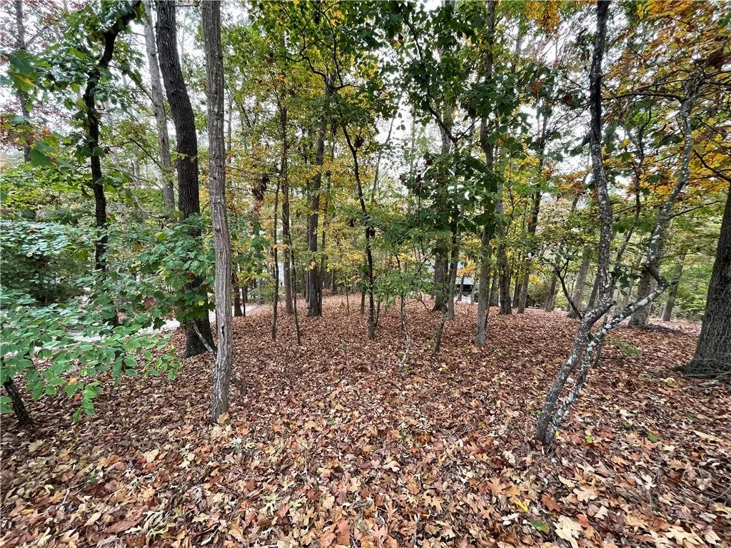 Property image 5 at 150 Indian Hills Drive Drive, Westminster, SC 29693