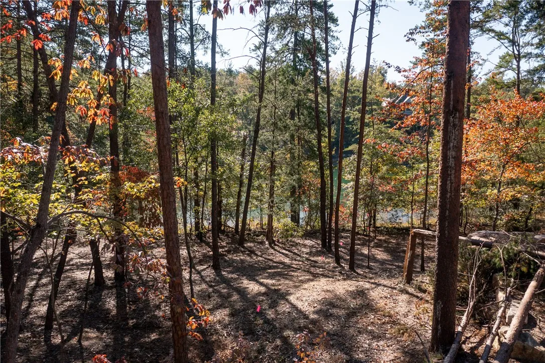 Property image 3 at M12 Village View Drive, Sunset, SC 29685