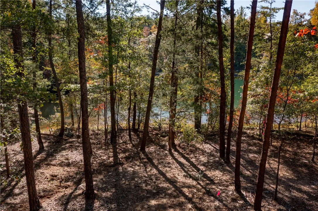 Property image 5 at M12 Village View Drive, Sunset, SC 29685