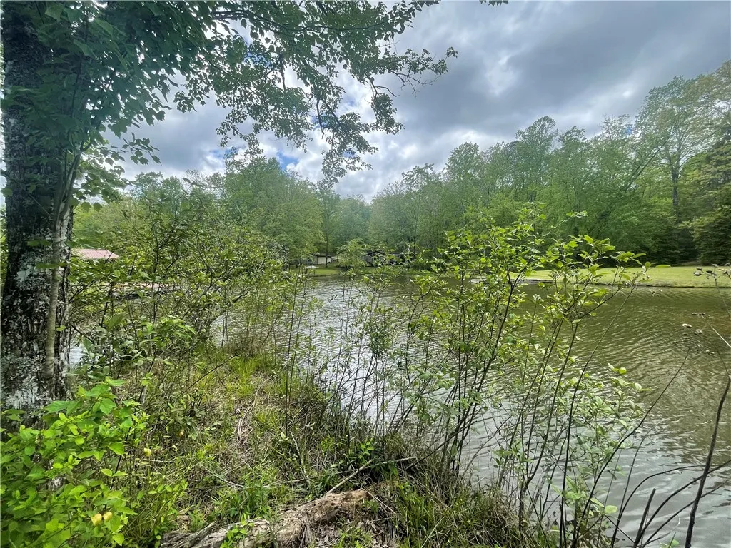 Property image 3 at 31 A Bonner Road, Mountain Rest, SC 29664