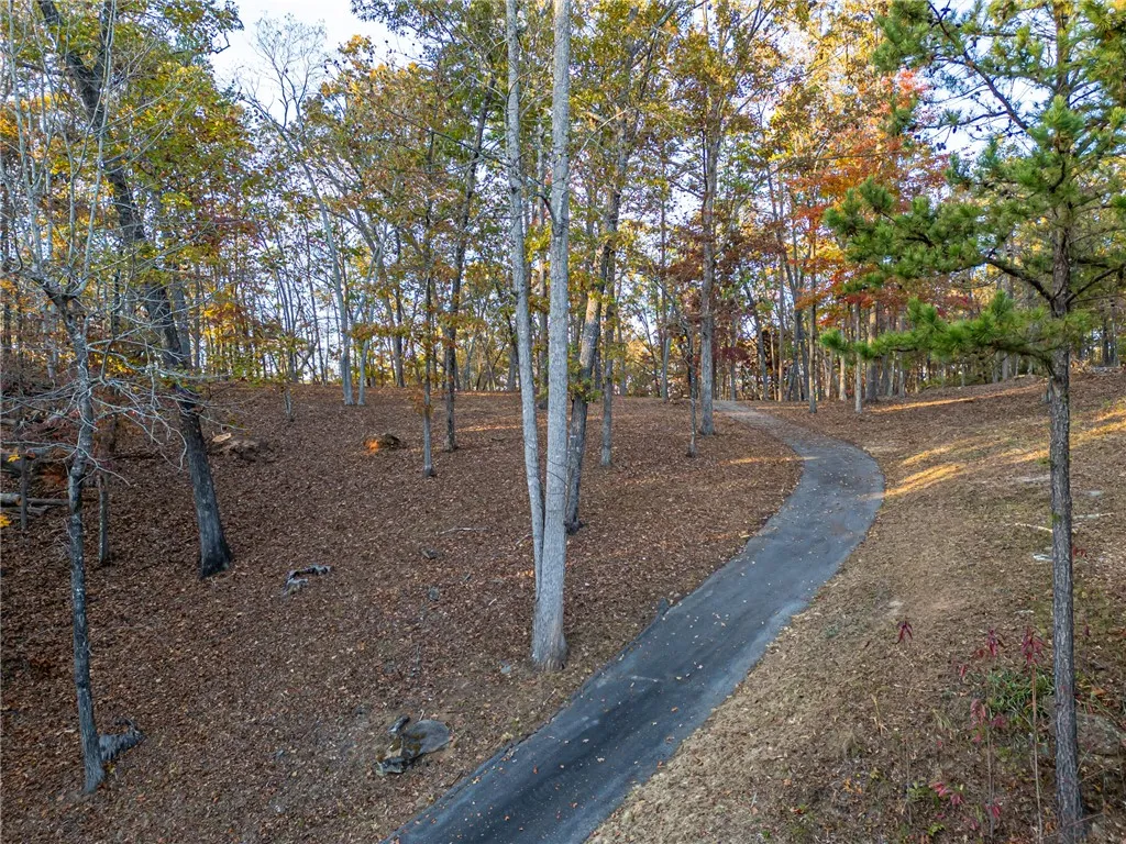 Property image 2 at 147 Falls Road, Sunset, SC 29685