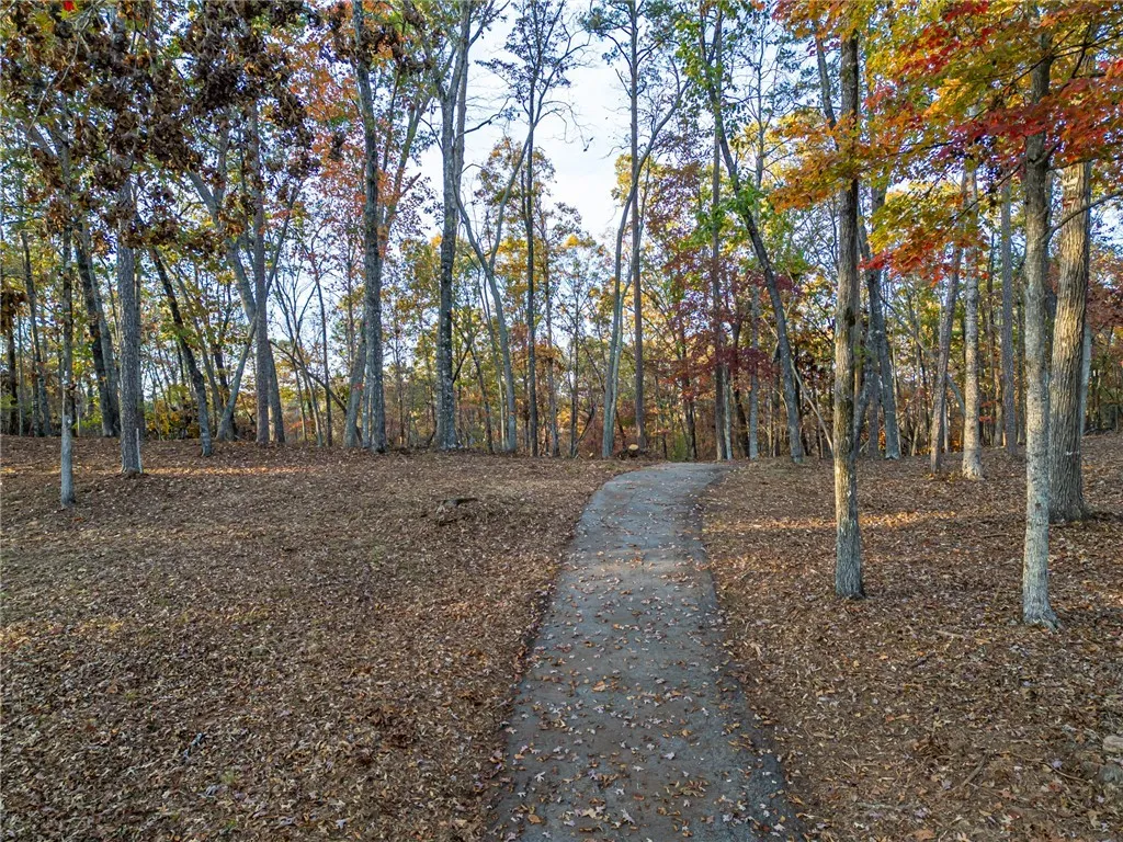 Property image 3 at 147 Falls Road, Sunset, SC 29685