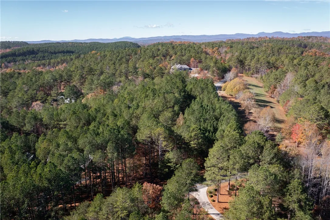 Property image 4 at Lot 39 Golden Bear Drive, Sunset, SC 29685