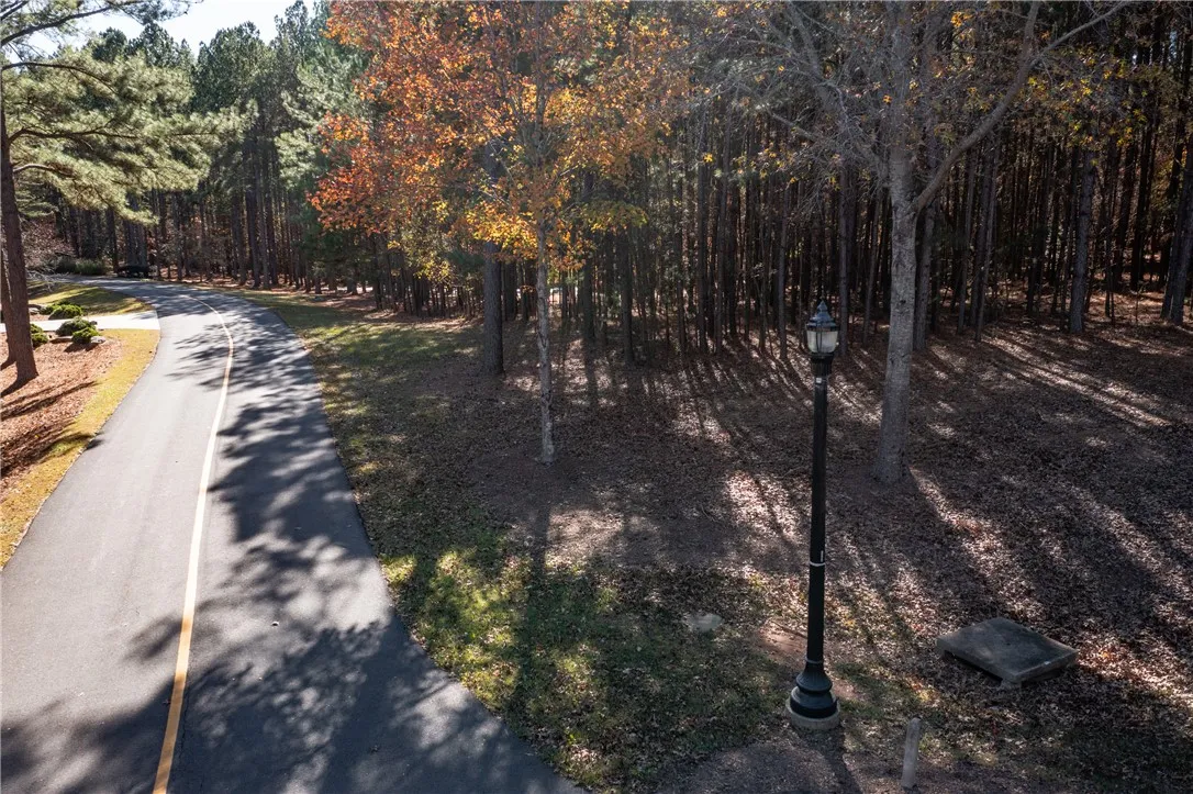 Property image 5 at Lot 39 Golden Bear Drive, Sunset, SC 29685