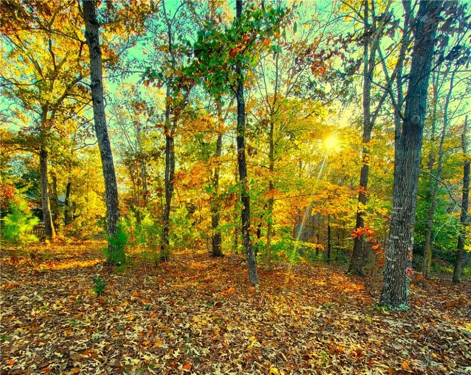 Property image 3 at Lot 59b N Mt Vernon Drive, Seneca, SC 29672