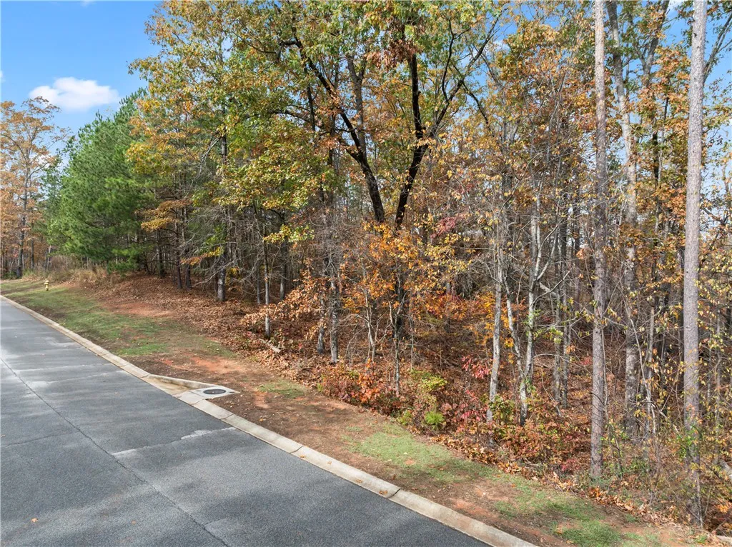 Property image 5 at Lot 277 Waterside Crossing, Seneca, SC 29672
