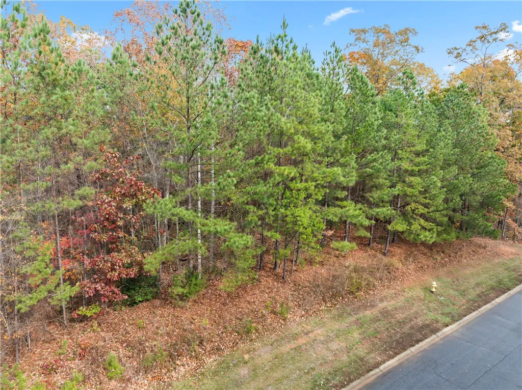 Property image 3 at Lot 278 Waterside Crossing, Seneca, SC 29672