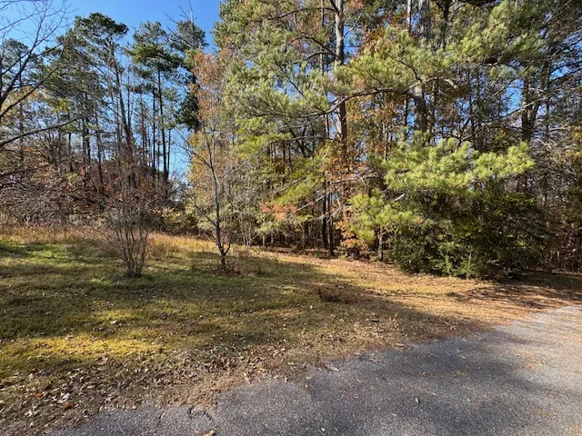 Property image 2 at Lot 48 Century Court, Pendleton, SC 29670