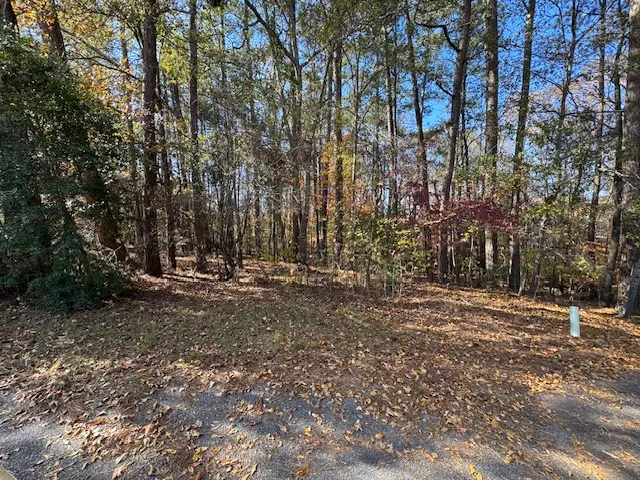 Property image 3 at Lot 48 Century Court, Pendleton, SC 29670