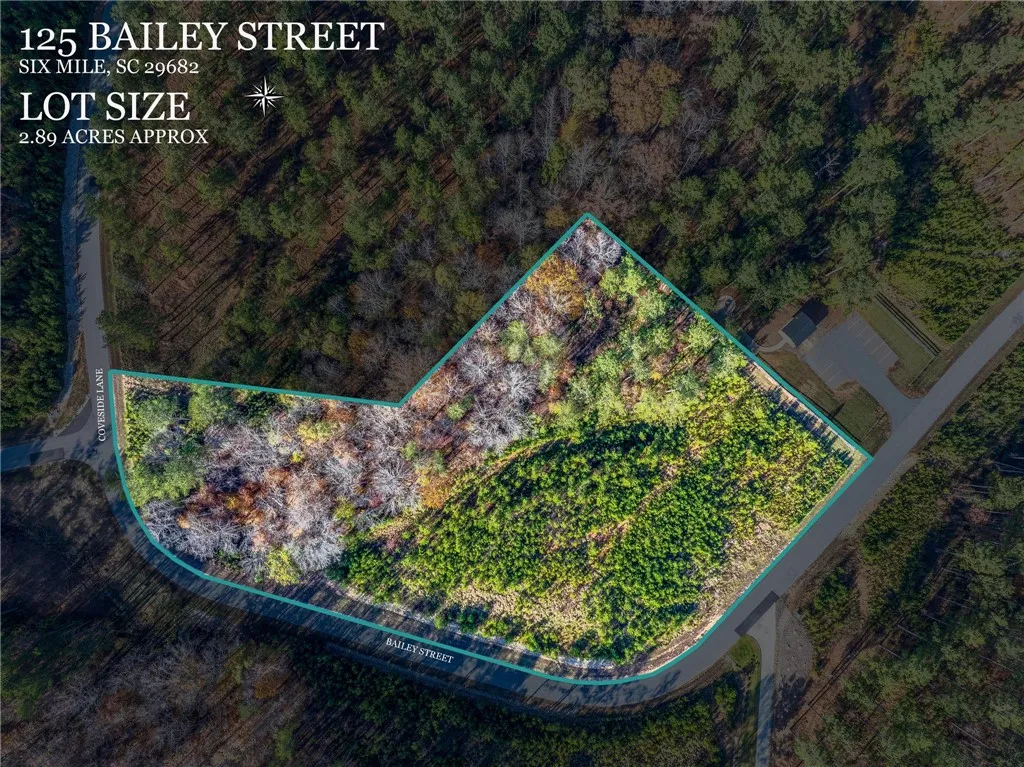 Property image 1 at 125 Bailey Street, Six Mile, SC 29682