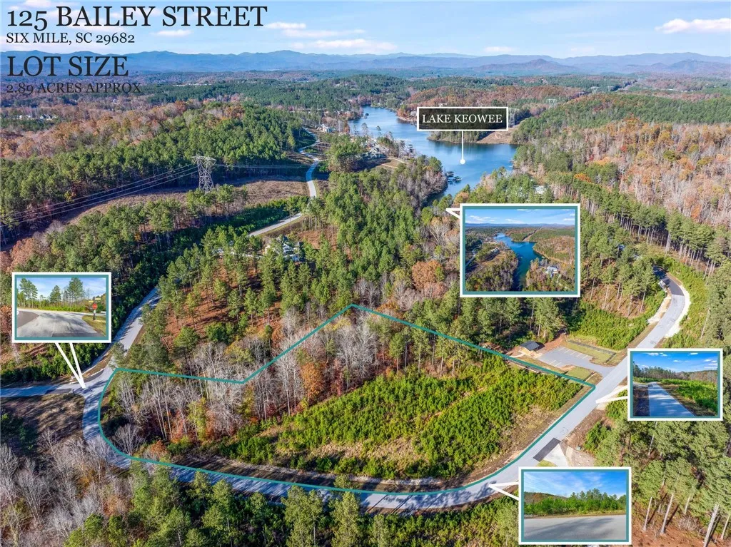 Property image 2 at 125 Bailey Street, Six Mile, SC 29682