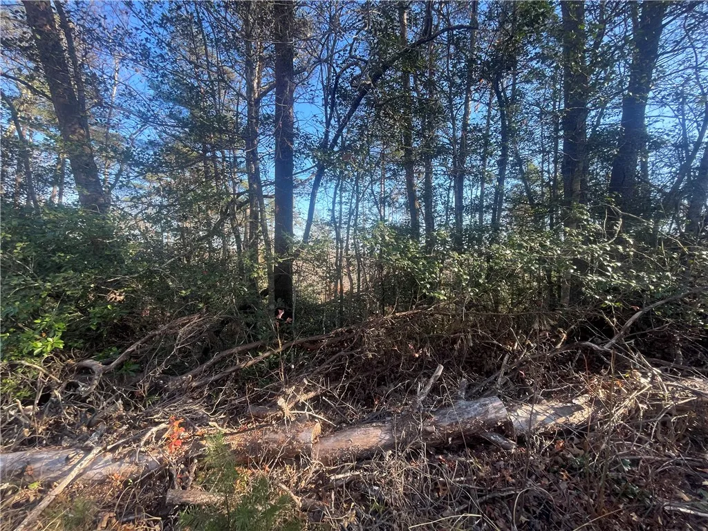 Property image 4 at Lot 6 and 7 Knox Creek Road, Tamassee, SC 29686