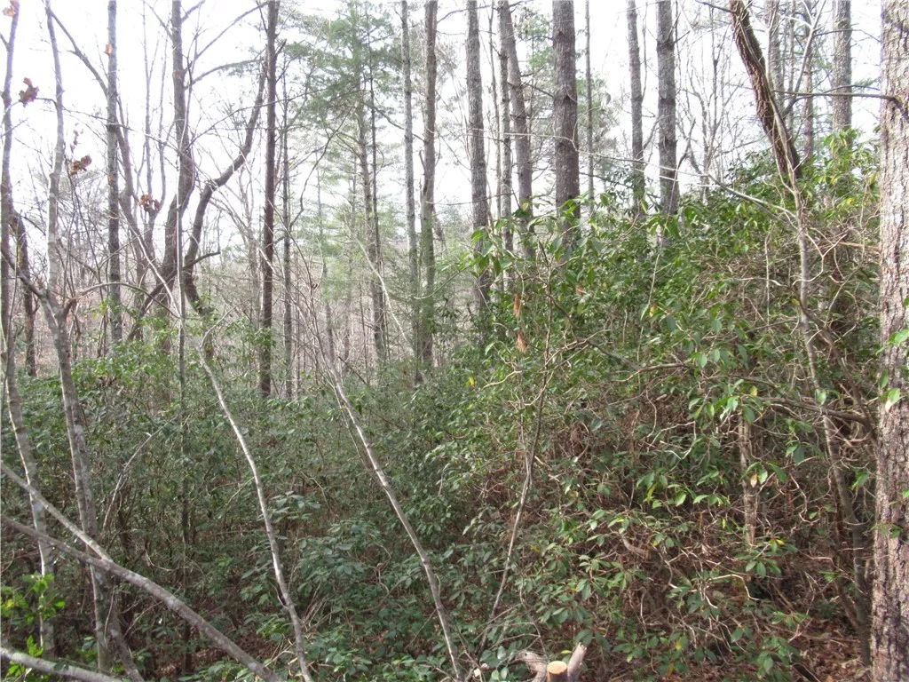 Property image 4 at 213 Falcon Crest Way, Pickens, SC 29671