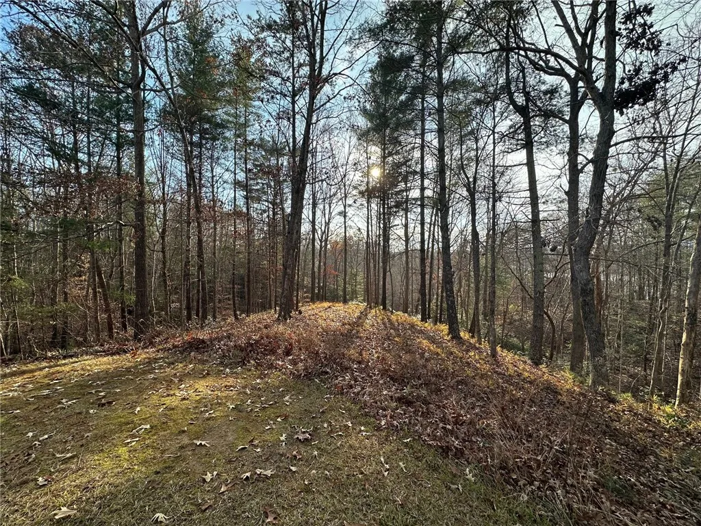 Property image 3 at 200 Wind Flower Drive, Sunset, SC 29685