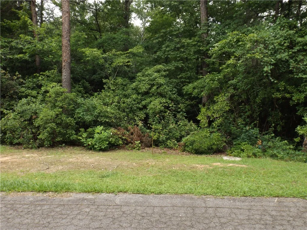 Property image 2 at 343 Gauley Falls Road, Pickens, SC 29671
