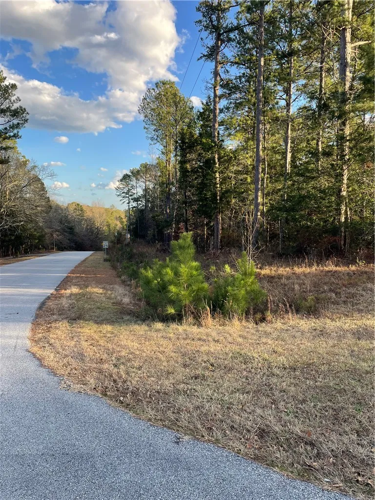 Property image 3 at 00 Beaver Trail, Iva, SC 29655