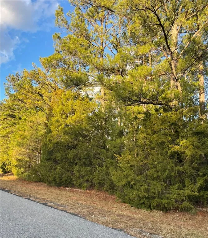 Property image 5 at 00 Beaver Trail, Iva, SC 29655