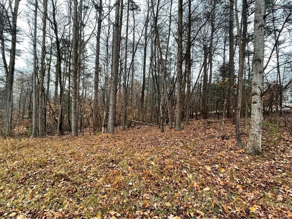 Property image 3 at Lot 850 Nicklaus Road, Westminster, SC 29693