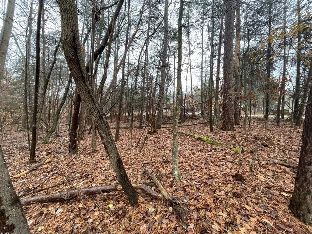 Property image 5 at Lot 850 Nicklaus Road, Westminster, SC 29693