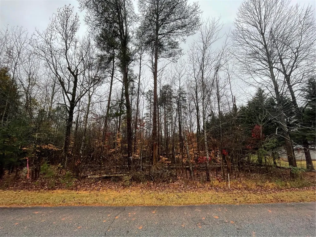 Property image 1 at Lot 806 Palmer Lane, Westminster, SC 29693
