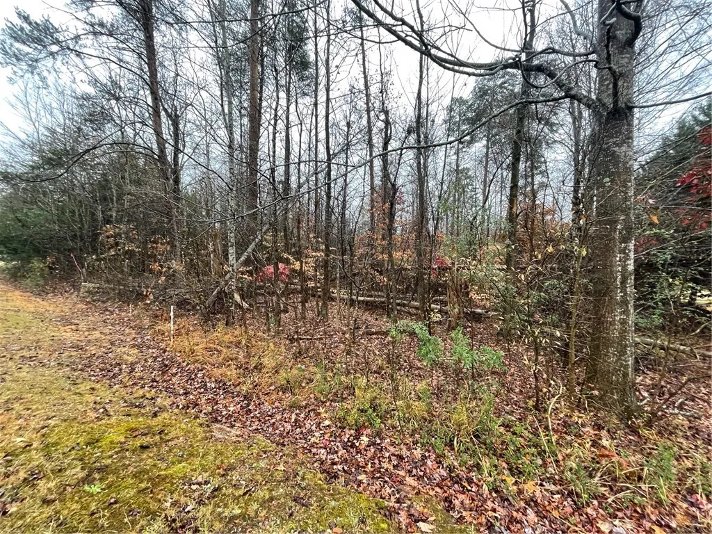 Property image 3 at Lot 806 Palmer Lane, Westminster, SC 29693