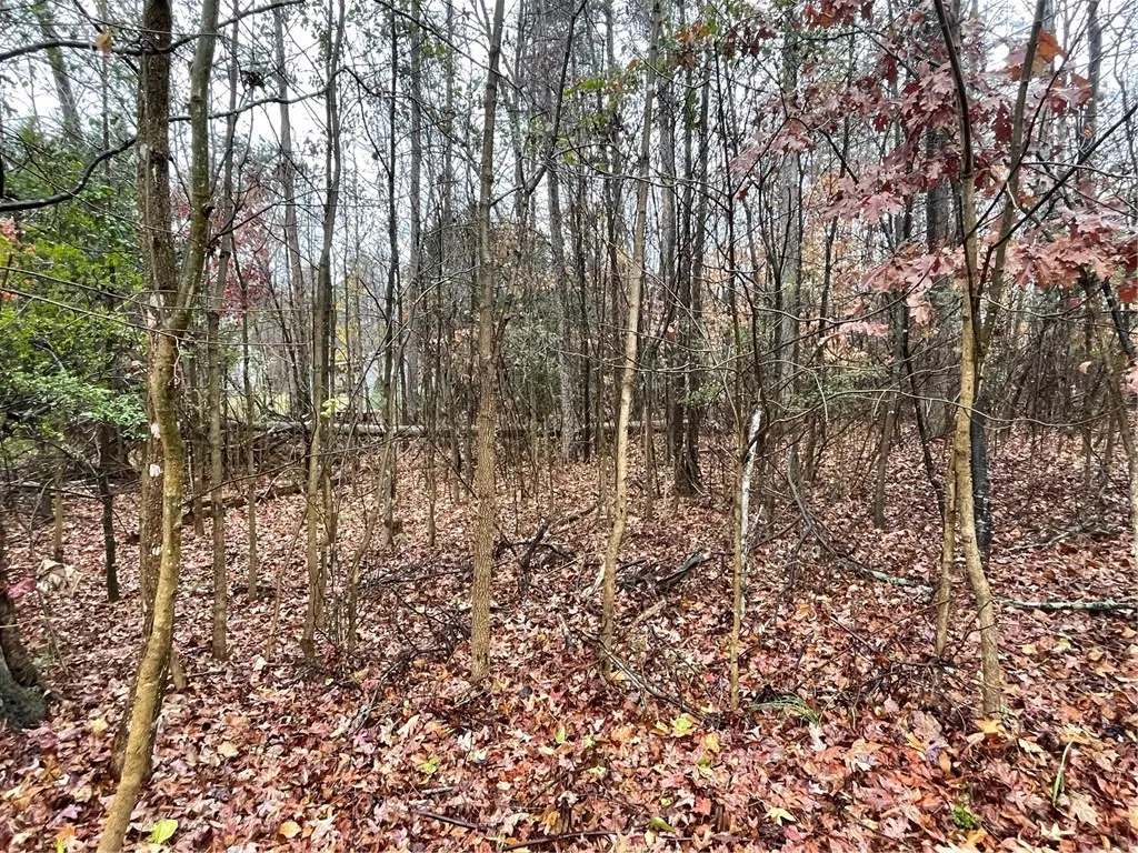 Property image 4 at Lot 806 Palmer Lane, Westminster, SC 29693