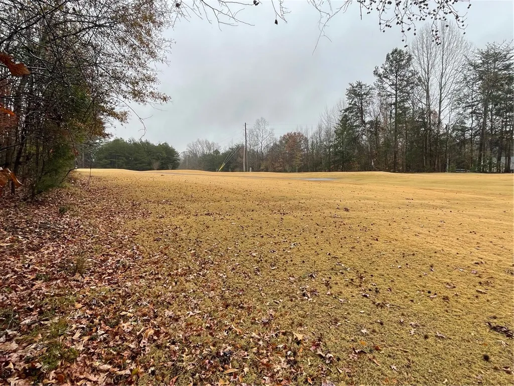Property image 5 at Lot 806 Palmer Lane, Westminster, SC 29693