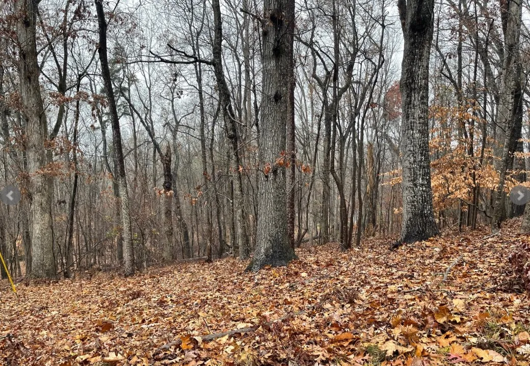 Lot 2134 Arrowhead Drive