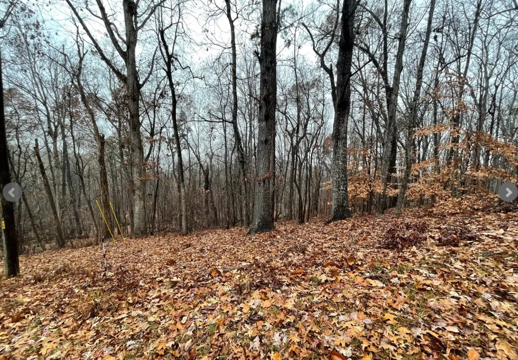 Property image 2 at Lot 2134 Arrowhead Drive, Westminster, SC 29693