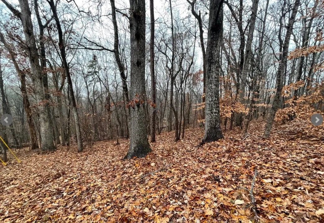 Property image 3 at Lot 2134 Arrowhead Drive, Westminster, SC 29693
