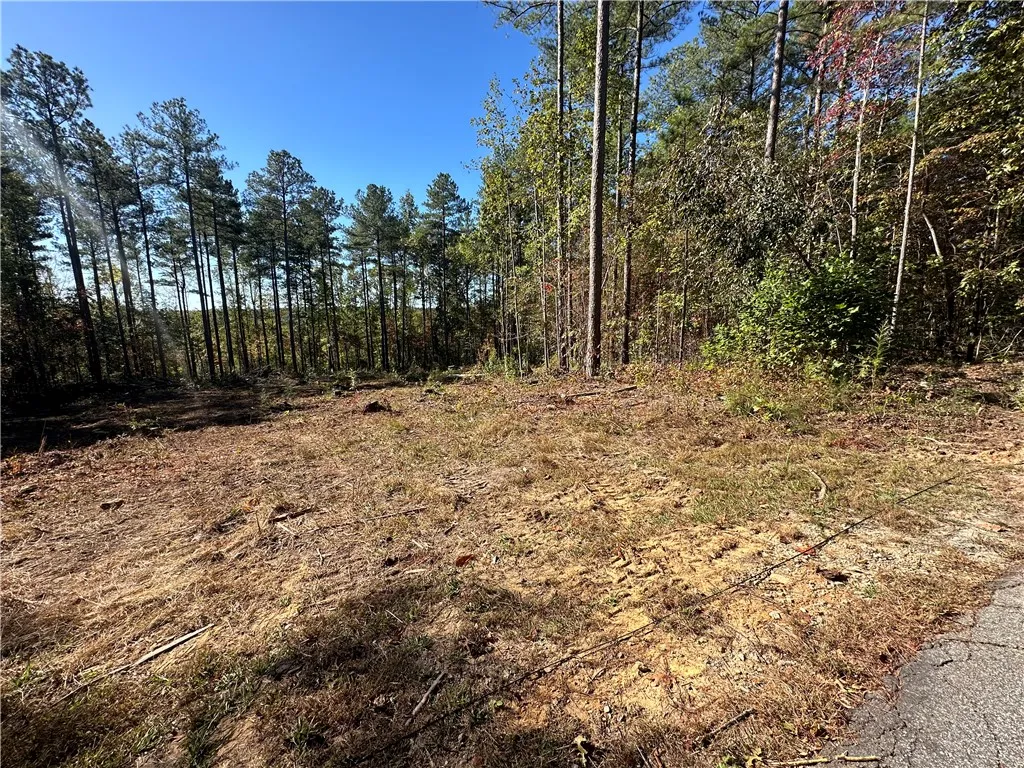 Property image 1 at Lot E29 Jocassee Ridge, Salem, SC 29676