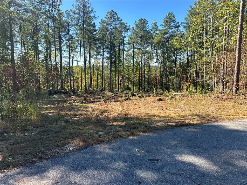 Property image 3 at Lot E29 Jocassee Ridge, Salem, SC 29676