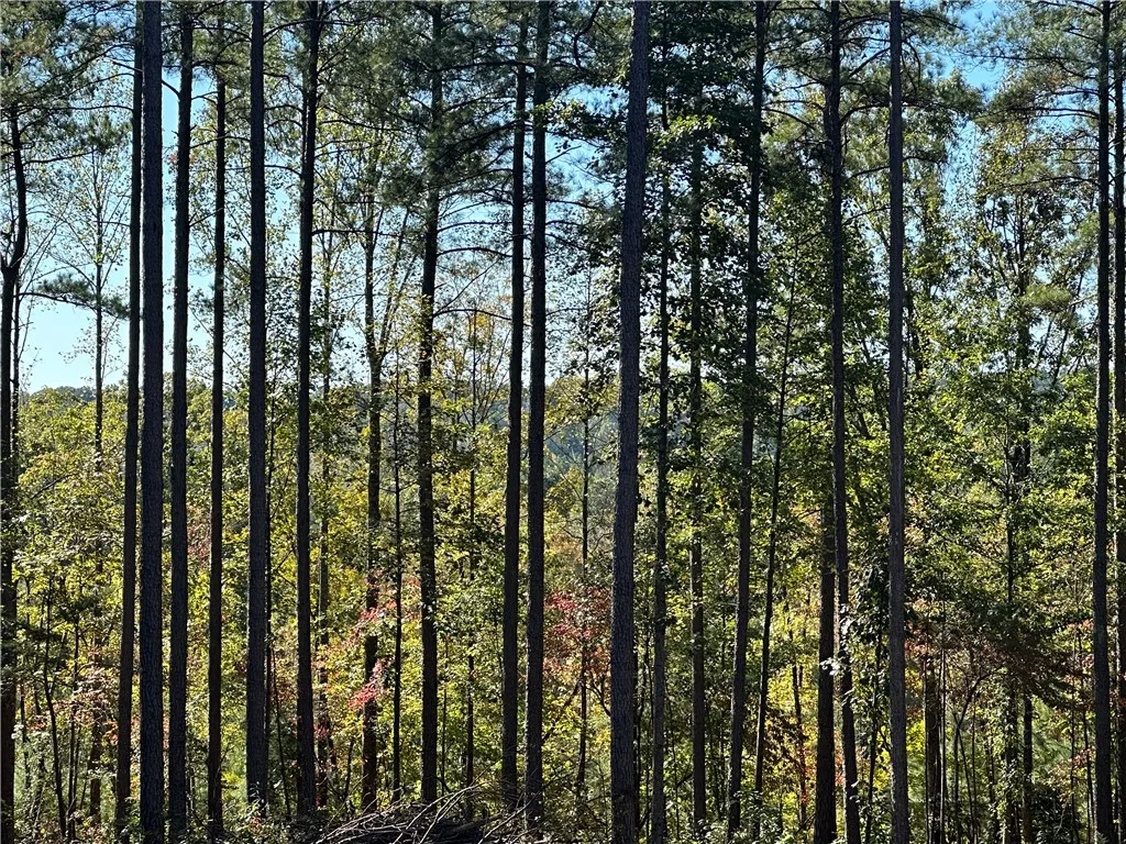 Property image 4 at Lot E30 Jocassee Ridge, Salem, SC 29676