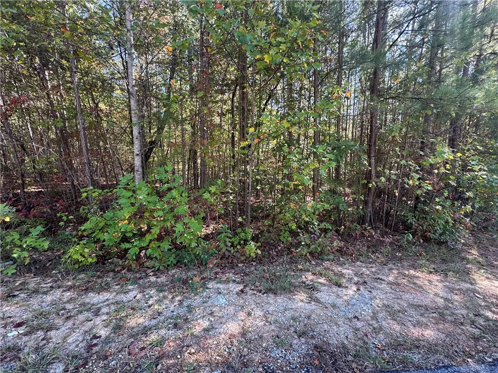 Property image 1 at Lot E31 Jocassee Ridge, Salem, SC 29676