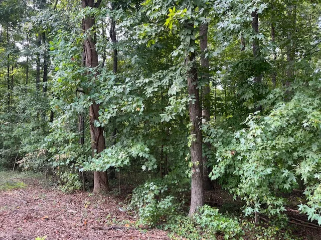 Property image 2 at 00 N Sundew Drive, Westminster, SC 29693