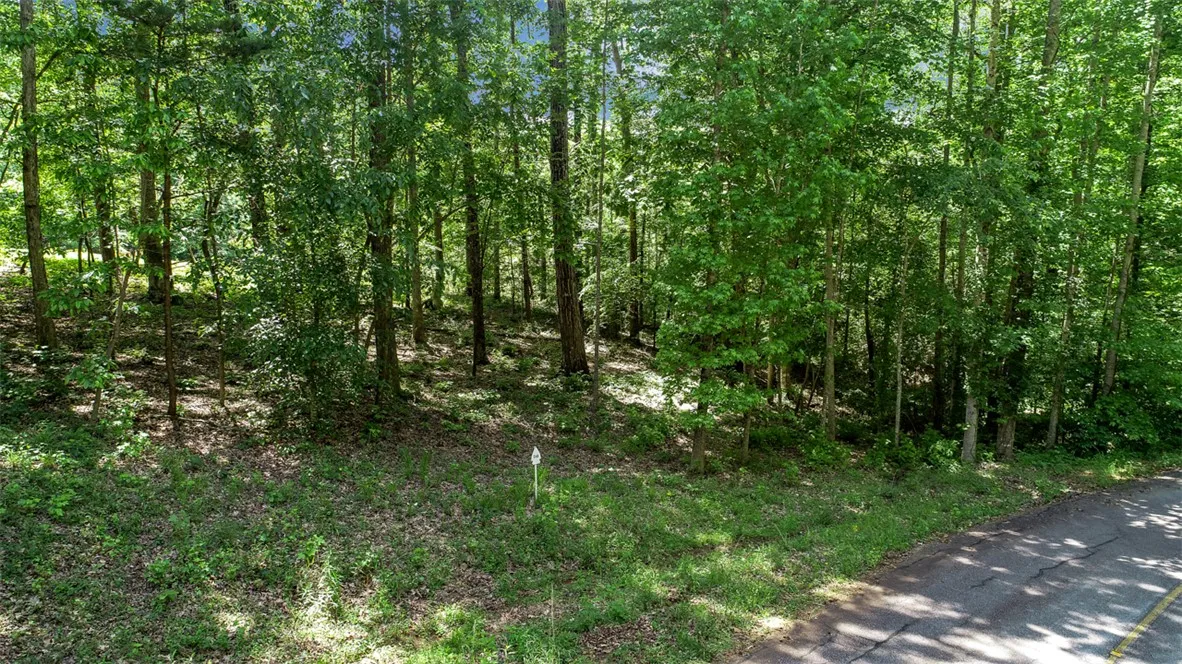 138 Tulip Lane