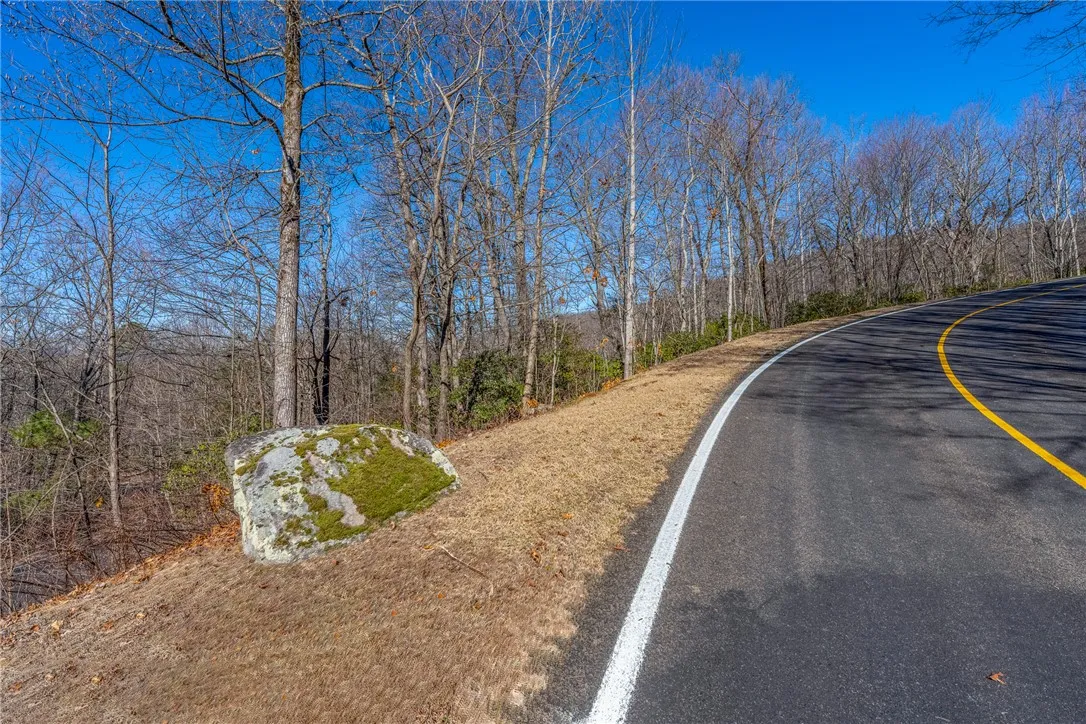 Property image 1 at 00 Stony Road, Landrum, SC 29356