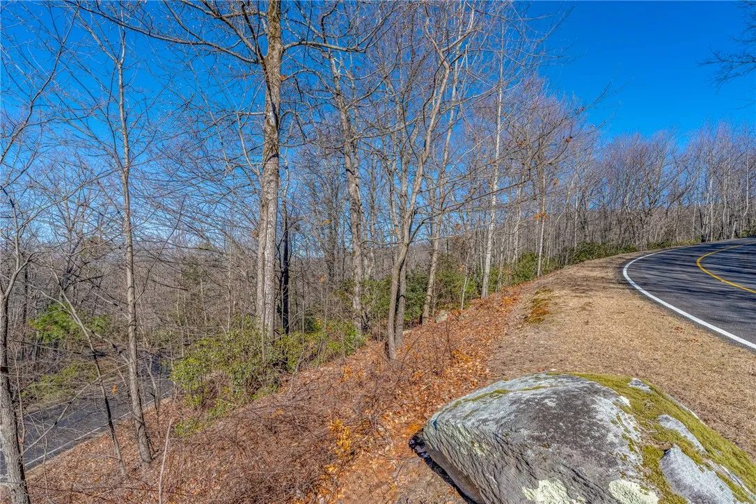 Property image 3 at 00 Stony Road, Landrum, SC 29356