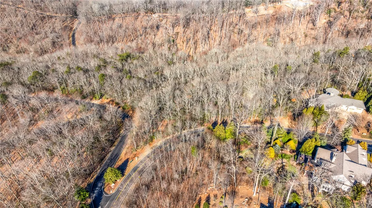 Property image 5 at 00 Stony Road, Landrum, SC 29356