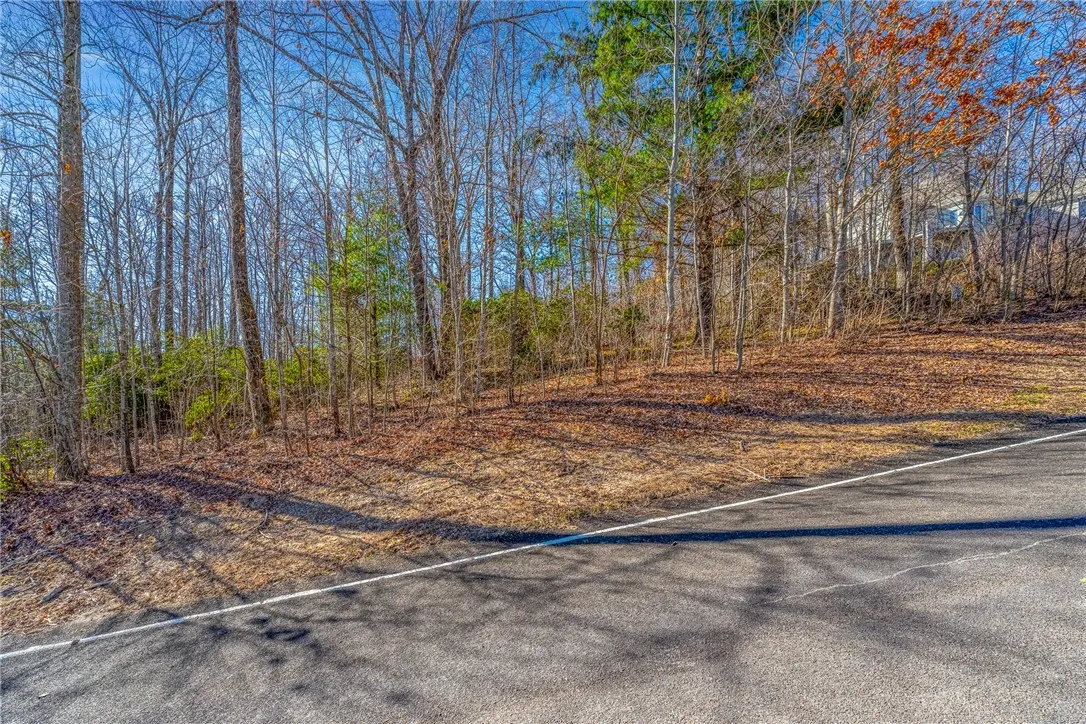 Property image 2 at 100 Park Green Way, Landrum, SC 29356