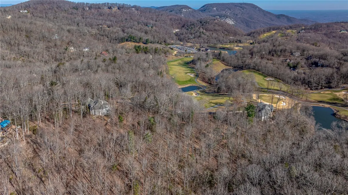 Property image 5 at 100 Park Green Way, Landrum, SC 29356