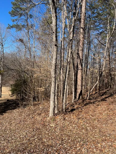 506 Chickasaw Drive