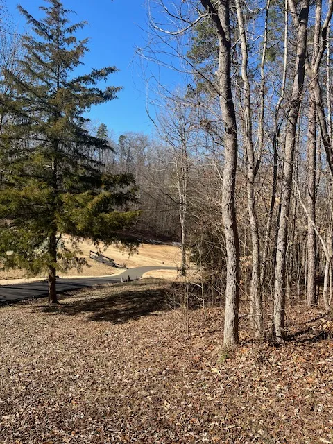 Property image 2 at 506 Chickasaw Drive, Westminster, SC 29693