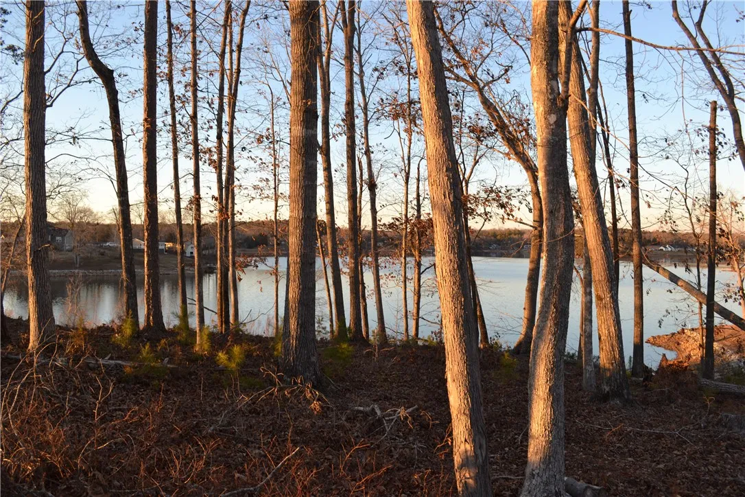 Property image 4 at 0 Lot 38 Waterside Point, Abbeville, SC 29620