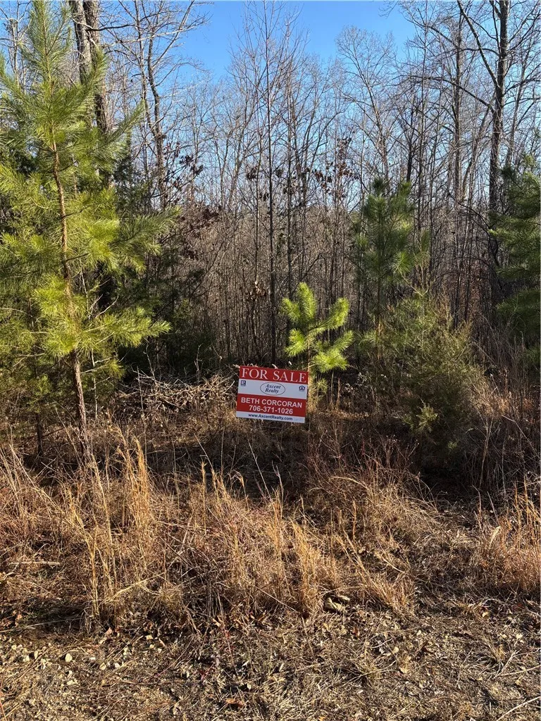 Northeast Shores, Fair Play Community