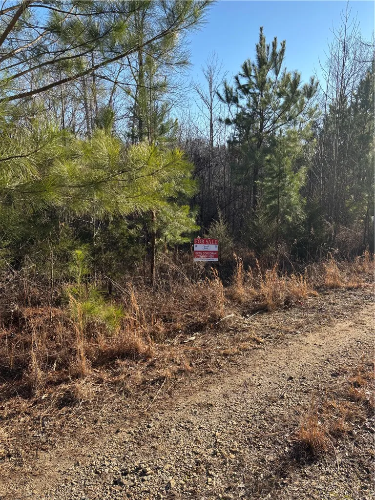 Property image 3 at Lot 69 Riverbend Road, Fair Play, SC 29643