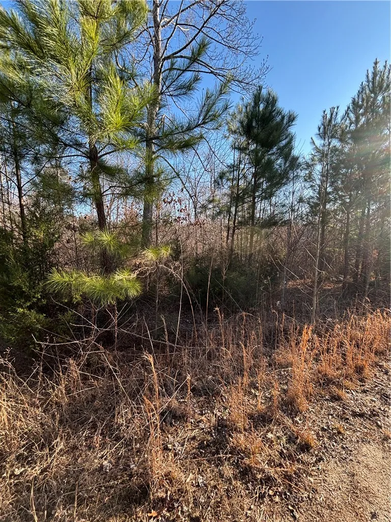 Property image 5 at Lot 69 Riverbend Road, Fair Play, SC 29643