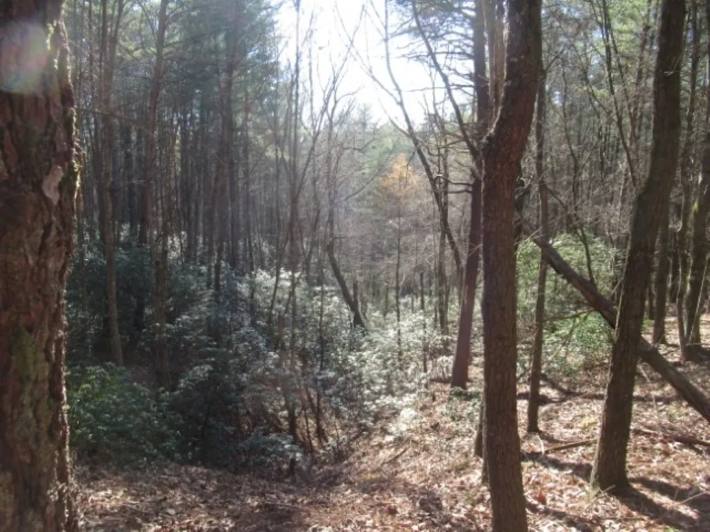 Property image 3 at Lot 10 Sweet Shrub Court, Sunset, SC 29685